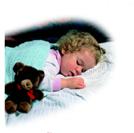 Burglar Alarm Home Security System